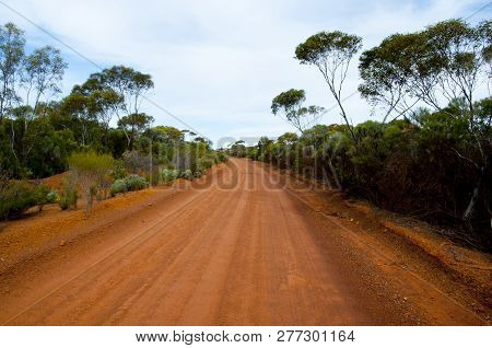 Off Road Track In The Remote Outback