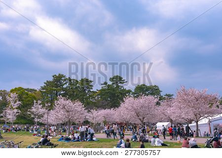 Shizuoka, Japan - April 1, 2018: Shizuoka Festival ( Shizuoka Matsuri ) With Cherry Blossoms, Shizuo