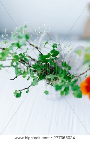 Branches With Green Leaves In A Basket On A Wooden Background.