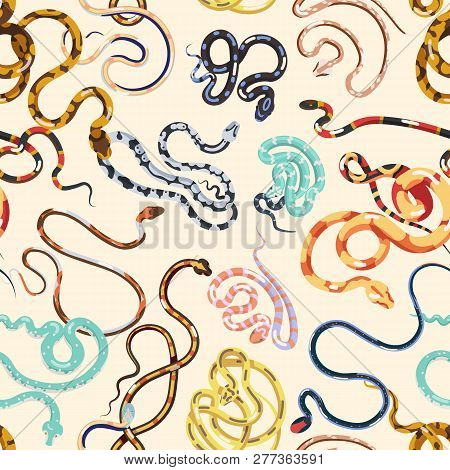 Seamless Pattern With Various Snakes Or Serpents On Light Background. Backdrop With Dangerous Exotic
