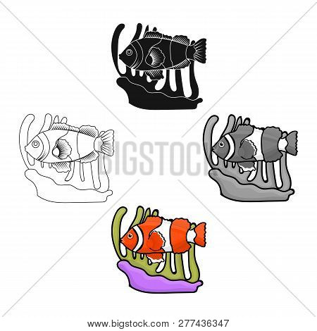 Clownfish And Anemone Icon In Cartoon Style Isolated On White Background. Australia Symbol Stock Vec