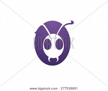 Ant Logo Template Vector Illustration