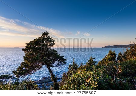 Castiglioncello, Leghorn, Tuscany - Italy