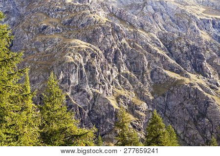 Beautiful Mountain Rock And Pine Trees Landscape Background, Mount Pelvoux, France