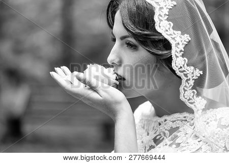 Portrait With Side View Of One Beautiful Young Brunette Sensual Pensive Bride In White Lace Dress An