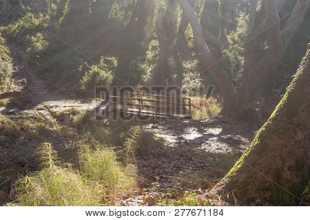 Wooden Bridge Over A Small River In The Mountains (greece, Attica, Mountains Parnitha)
