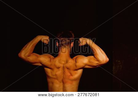 Muscle Concept. Bodybuilder With Strong Muscle Torso Back. Muscle Man Flex Biceps And Triceps. Muscl