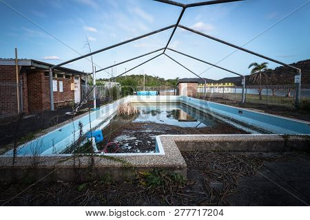 Abandoned Forgotton Swimming Pool Of The Peat Island Asylum, Now Growing Reeds And Thorny Thistles. 