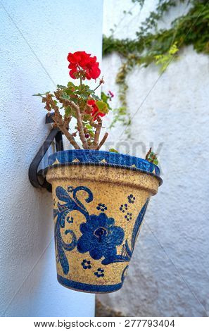 Andalusian flower pot in Granada white wall of Spain