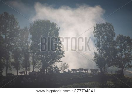 foggy summer landscape in the mountains, Salciua, Romania