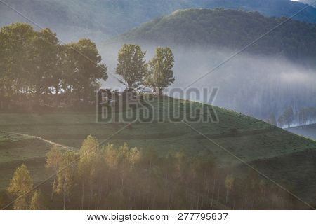 foggy summer landscape in the mountains, Salciua, Romania