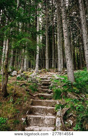 Tatra National Park, Poland. Hiking Trails In Summer Tatra Mountains Forest Landscape. Beautiful Sce