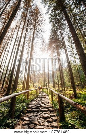 Tatra National Park, Poland. Hiking Trails In Summer Tatra Mountains Forest Landscape. Beautiful Sce