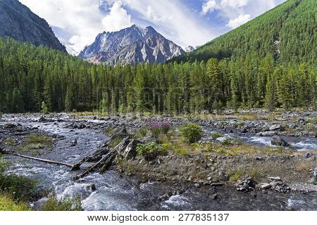 Altai Mountains. The Shawla River Above The Estuary Of The Yeshtykol River. August. Siberia, Russia.