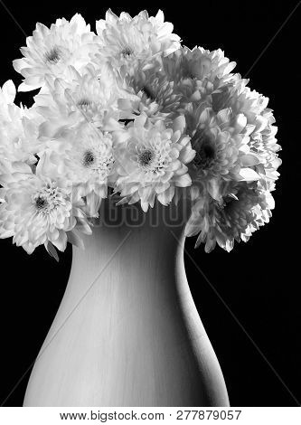 Bouquet Of Flowers In Vase Isolated On Black,  Chrysanthemums