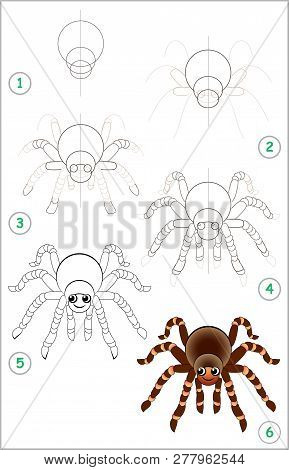 Educational Page For Kids Shows How To Learn Step By Step To Draw A Cute Spider. Back To School. Dev
