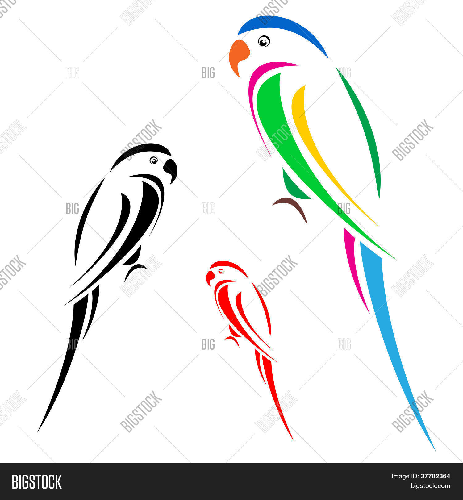 Image Preview
