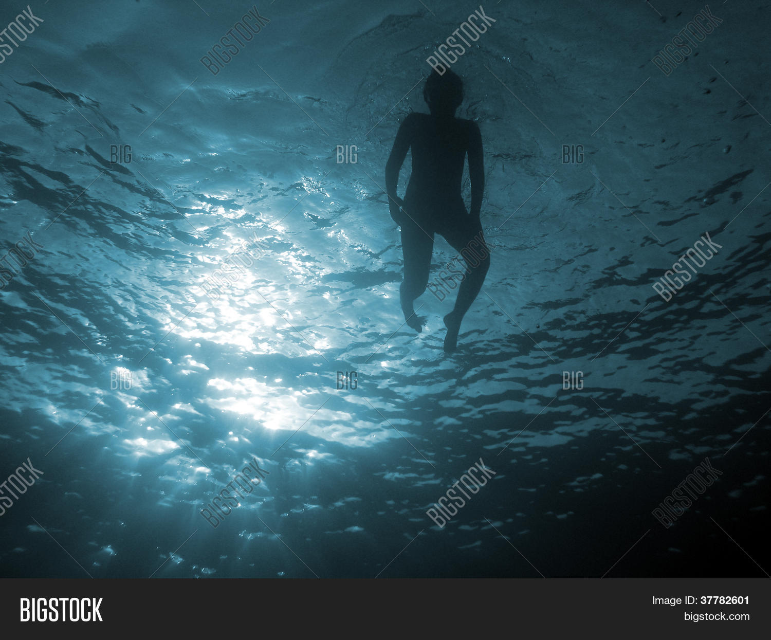 Image Preview