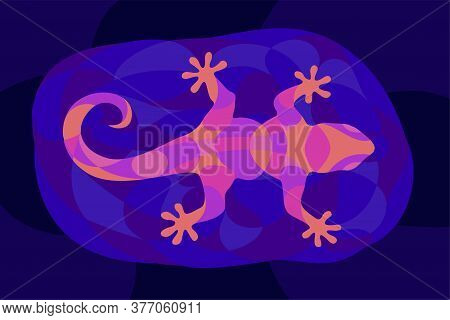 Beautiful Colorful Illustration With Shiny Neon Colored Gecko Silhouette On The Dark Blue Background