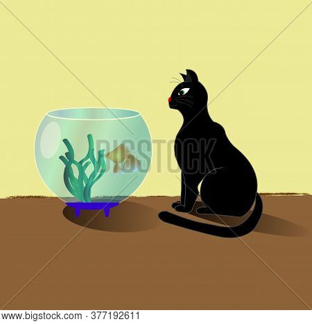 The Cat Looks At The Aquarium, Vector