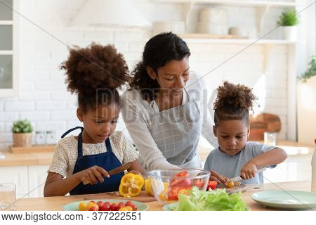 Loving Biracial Mom Teach Little Kids Cooking In Kitchen
