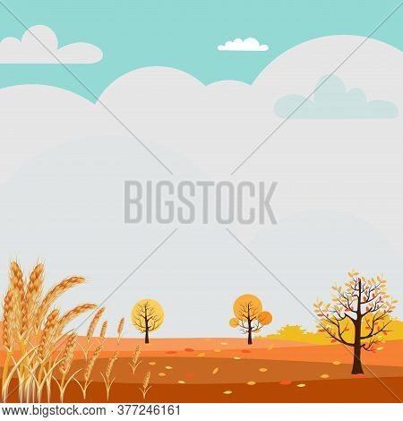 Cute Cartoon Autumn Landscape With Copy Space, Vector Hello Autumn In Fram Field With Ripe Wheat, Au