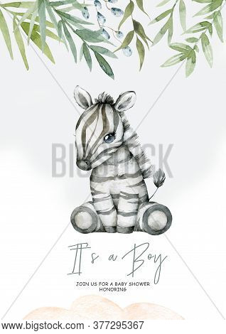 Watercolor Cartoon Cute Baby Zebra With Flowers Frame Background. Nursery African Illustration. Bohe
