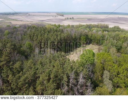 A Place Of Felling, Aerial View. Devastated Land, Clearing.