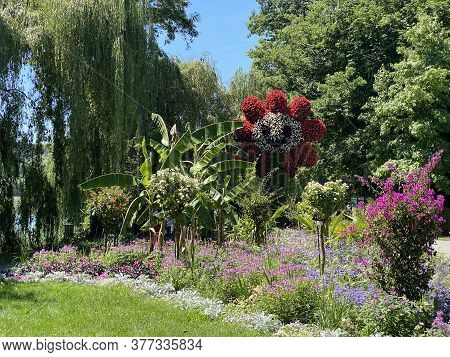 Meeting Point Blumi Or Treffpunkt Blumi (flower Island Mainau On The Lake Constance Or Die Blumenins