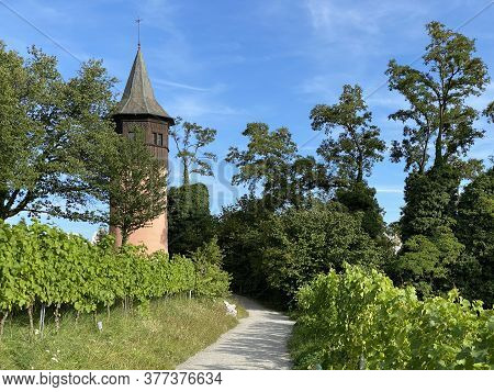 Landscape Of The Wein Trail Or Wein-erlebnispfad (flower Island Mainau On The Lake Constance Or Die 