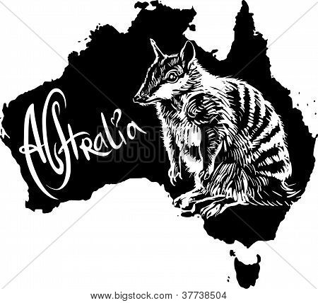 Ameisenbeutler als australischer symbol