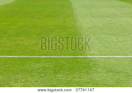 Zelená tráva, fotbalové (fooball) pole.