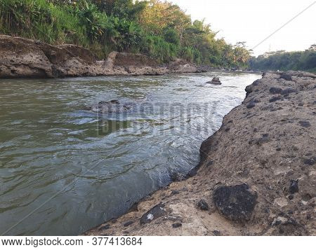 Old River With Turbid Water Flowing Alongside Are Hard Rocks And There Are A Variety Of Plants