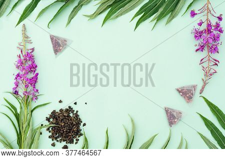 Herbal Tea Scattered And In Bags. Dry Fermented Fireweed. Fresh Leaves And Flowers Of Ivan-tea. Bloo