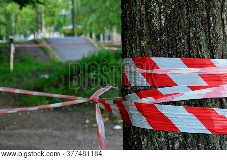 In The Park A Tree Is Wrapped In A White Red Fence With A Close-up Ribbon In The Background Of An Em