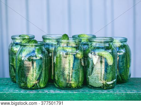 Conservation Of Green Cucumbers, Conservation For The Winter. Cucumbers With Garlic, Salt, Dill. Pic