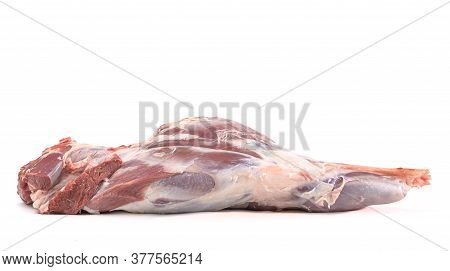 Raw Leg Of Mutton On A Bone On A White Isolated Background. Sheep Meat Close-up.a Fresh Piece Of Mut