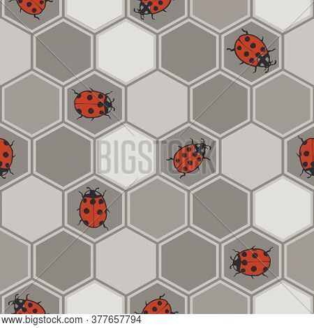 Vector Grey Red Ladybug Hexagon Seamless Pattern Print Background.