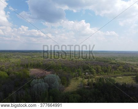 A Place Of Felling, Aerial View. Devastated Land, Clearing.