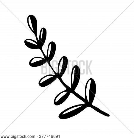 Vector Doodle Illustration Of Potherbs. Hand Drawn Healthy Farm Vegetable Isolated On White Backgrou