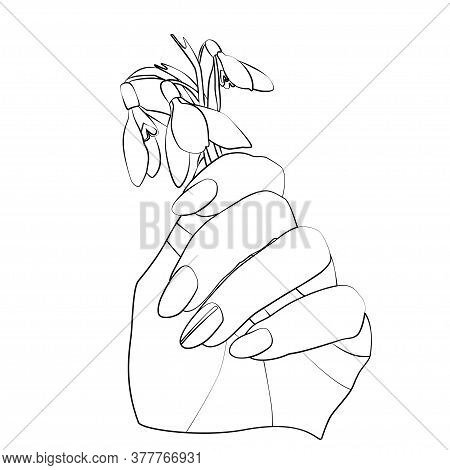 Illustration Of Hand With Snowdrop Parh On White Isolated Background