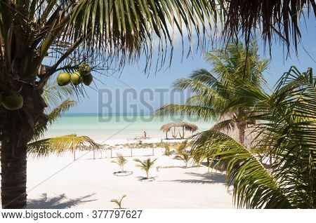 Tropical Garden Beach Front Ocean View, All In One , Holbox Island, Mexico - A Perfect Place To Rela