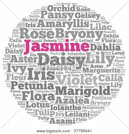 Concept de graphiques et arrangement d'info-texte fleur de jasmin sur fond blanc (nuage de mot)