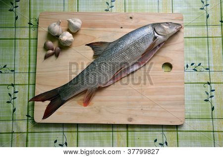 frischer Fisch auf dem Tisch