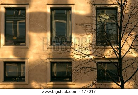 Tiltedwindows
