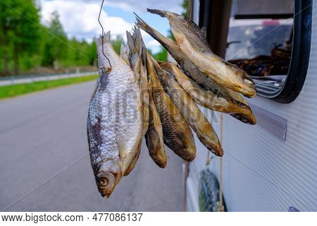 Dried Fish Equipment Dried. Salty, Dry Lake Fish Hung. Side View. Delicious Dried Fish Peipus Roach.
