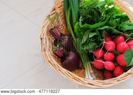 Romaine Salad, Radish, Beetroot, Garlic, Arugula. Basket With Various Vegetables. Top View. Place Fo