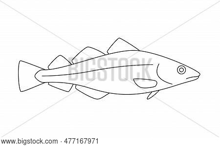 Codfish Haddock Line Art, Cod Seafood And Underwater Animal. Water Delicacy, Gourmet. Fishing. Color
