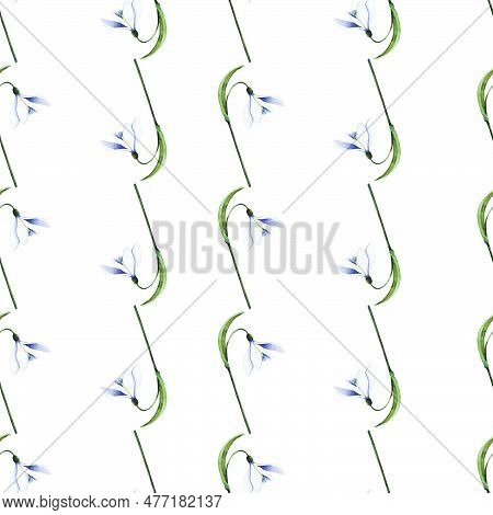Snowdrops. Blossoming Bud With Leaves. Watercolor Seamless Pattern. Can Be Used For Textile Design, 