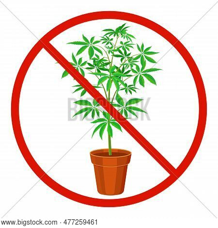 Marijuana Prohibition Vector & Photo (Free Trial) | Bigstock